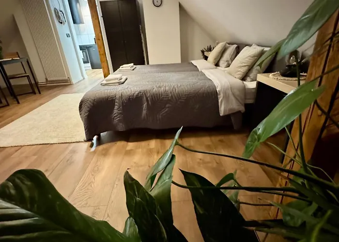 Astor - Ksiezycowy شقة شتشافنو-زدروي